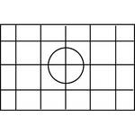 Beattie Intenscreen Grid for Nikon F5