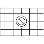 Beattie Intenscreen Split Image Diagonal Grid for Nikon F5
