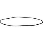 Ikelite O-Ring (Replacement)