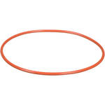 Ikelite 0109 O-Ring (Replacement)