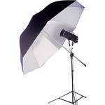 Lastolite Umbrella - White, Black, 6' 6"
