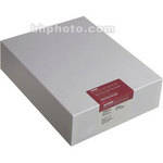Ilford Galerie Smooth Pearl Paper for Inkjet Printers (8.5 x 11", 250 Sheets)