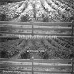 B+W 35.5mm 093 (87C) Infrared    Glass Filter