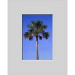 Nielsen & Bainbridge Mat - Fits Gallery and Presentation Frames, 16x20" with 8x12" Opening