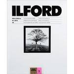 Ilford Ilfobrom Galerie Fiber-Based Paper (16 x 20", Grade 3, 50 Sheets, Glossy)