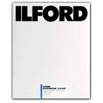Ilford Ilfochrome Classic Deluxe 16x20/10 Glossy