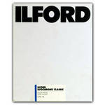 Ilford Ilfochrome Classic Deluxe 20x24/25 Glossy