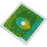 Cokin P674 Blue/Yellow Bi-Color Center Spot Resin Filter