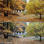 LEE Filters Combination 81 (Light Amber) and CC05C (Cyan) Blue Resin Filter - Fits Cokin P 