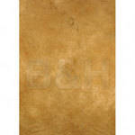 Won Background Muslin Grace Background - Golden Sand - 10x10' (3x3m)