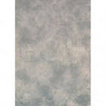 Won Background Muslin Modern Background - Antique Grey - 10x20' (3x6m)