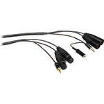 Canare BACX25 Cable for Portable Mixers  - 25'