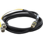 AJA S-Video To Dual BNC Cable