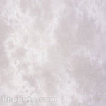 Lastolite 10x12' Muslin Washable Background - Dakota