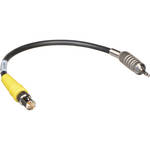 Delvcam 3.5mm Male to BNC Female Adapter Cable (12")