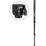 Manfrotto 681B 3 Section Monopod with 234 Swivel/Tilt Head
