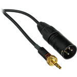 Remote Audio Threaded Mini Male to XLR (Pin-3 Hot) Male Cable