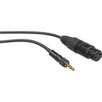 Remote Audio Mini Phone Threaded Male to XLR Female Adapter Cable