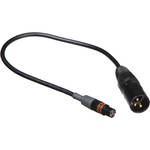 Remote Audio Secondary Main Stereo Output Cables