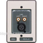 RDL RCX-J3 Complete Audio Input Panel Assembly (White & Gray)