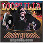 Big Fish Audio Sample CD: Loopzilla Underground (WAV and ACID)