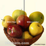 Formatt 4 x 5.65"  80D Color Conversion Filter