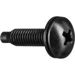 Middle Atlantic HP-500 10-32 3/4" Philips Truss-Head Screws 500 Pieces (Black)