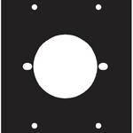 Middle Atlantic 2 Bolt Twistlock Punchout Panel 