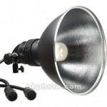 Profoto Pro 7 Twin Flash Head