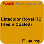Kodak Ektacolor Royal Generations 8"x255' Roll Glossy Paper