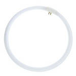 MK Digital Direct Halogen Light for Top of THE BOX