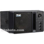 Anchor Audio AN-130 - Powered Two Way P.A. Speaker (Black)