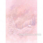 Won Background 10x20' Muslin Background - Winter Cabin