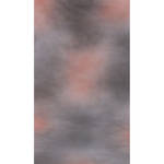 Botero #017 Muslin Background (10x12', Grey, Brown Background)