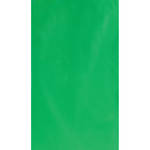 Botero #026 10x12' Muslin Background - Chroma-Key Green