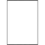 Botero #000 Muslin Background (10x24', White)