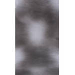 Botero #005 Muslin Background (10x24', Dark, Medium Grey)