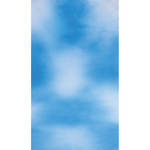 Botero #008 Muslin Background (10x24', Sky Blue, White)