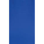 Botero #027 10x24' Muslin Background - Chroma-Key Blue