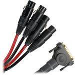 Monster Cable  StudioLink 500 D-Sub to Female XLR