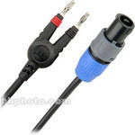 Monster Cable Standard 100 Series Speakon (NL2)  to Banana Speaker Cable - 10'