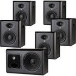 JBL LSR6328P/5.1 5.1 Surround System with 6312SP Subwoofer