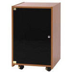 Raxxess Portable Security Rack