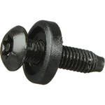 Raxxess Pin Torx Security Screws , Model PNTX-100 (Black)