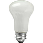Novatron Modeling Lamp - 100 watts - for 2140C, 2120C, 2110C, 2105C, 2105C