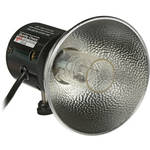 Lumedyne 800 W/S Flash Head - UV, Coiled Cord