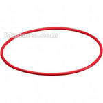 Olympus Rear Lid O-Ring for PFL-01