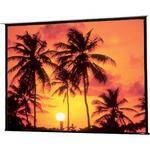 Draper Access/Series E Motorized Front Projection Screen (58 x 104")