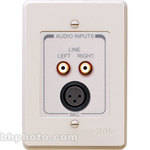 RDL RCX-J3N Complete Audio Input Panel Assembly (White with Gray)