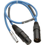 Sound Devices XL-LX - LEMO-5 to 3-Pin XLR M/F "Y" Cable